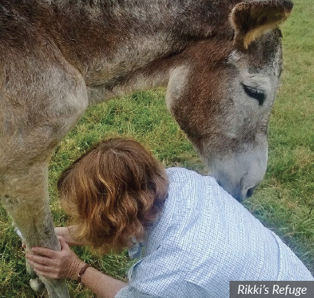 Animal Physical Therapist | Career Profile | AgCareers.com